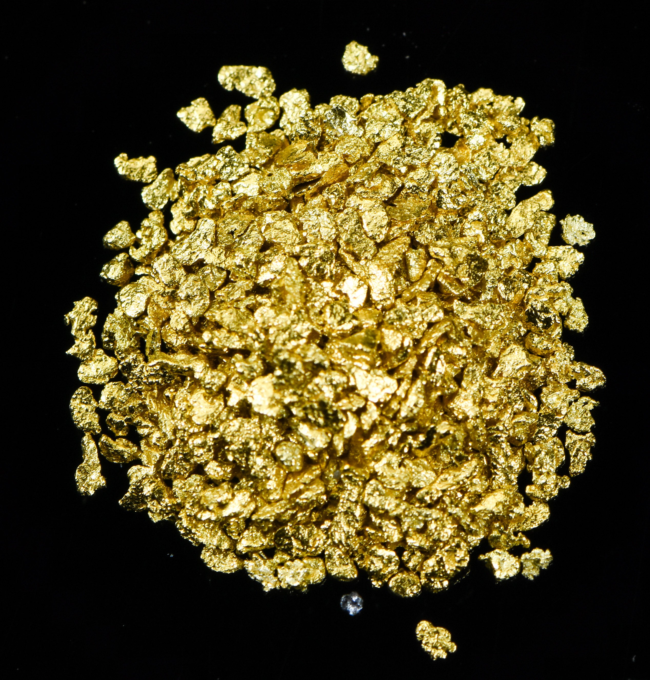 Alaskan Yukon Gold Rush Nuggets #20 Mesh 1/10 Troy Oz 3.1 Grams or 2 DWT