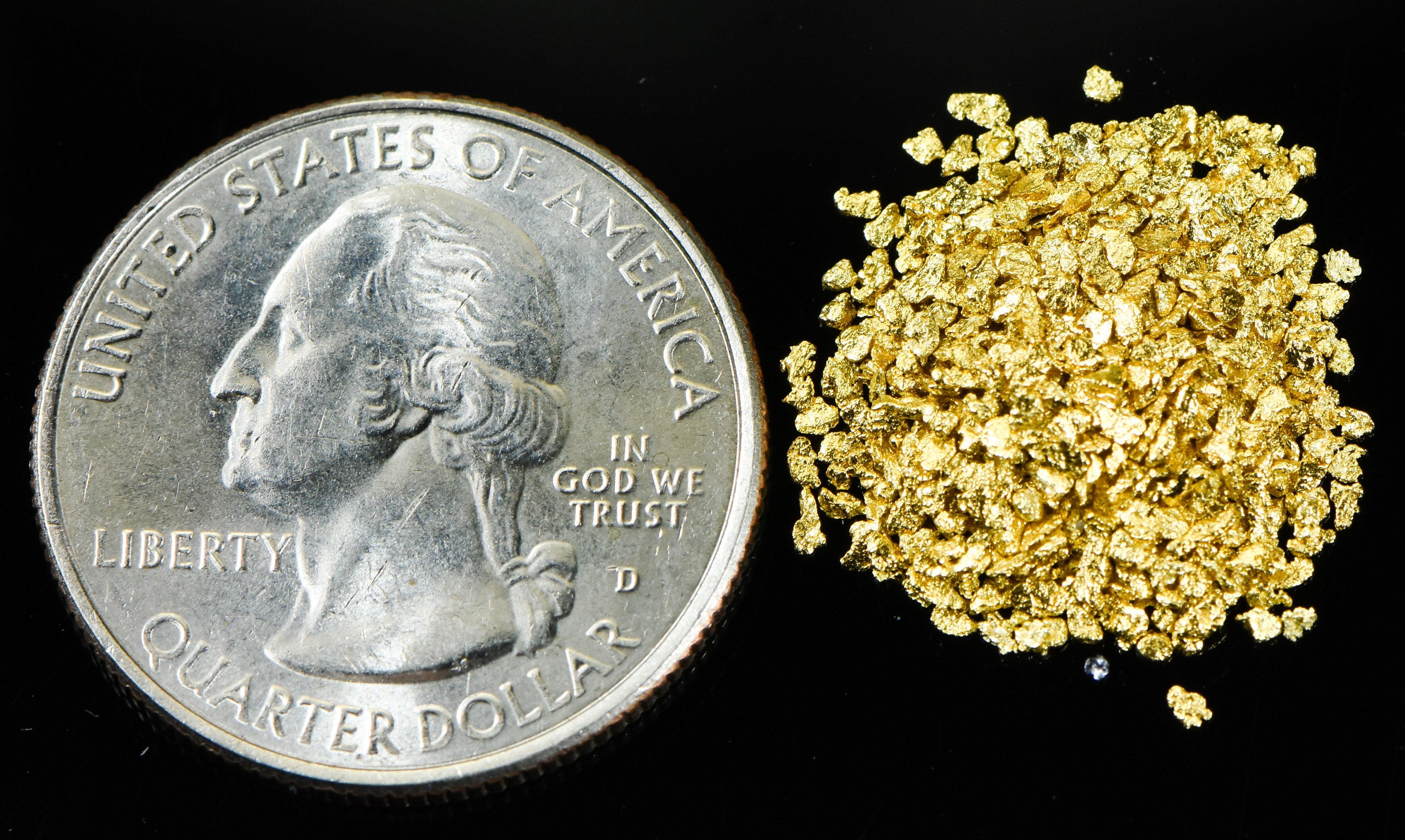 Alaskan Yukon Gold Rush Nuggets #20 Mesh 1/10 Troy Oz 3.1 Grams or 2 DWT
