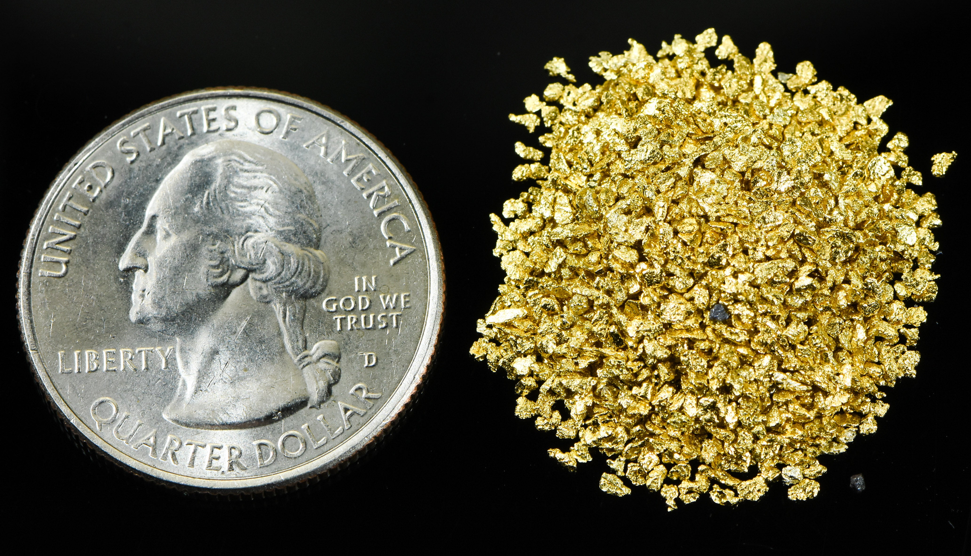 Alaskan Yukon Gold Rush Nuggets #20 Mesh 1/4 Troy Oz 7.75 Grams or 5 DWT
