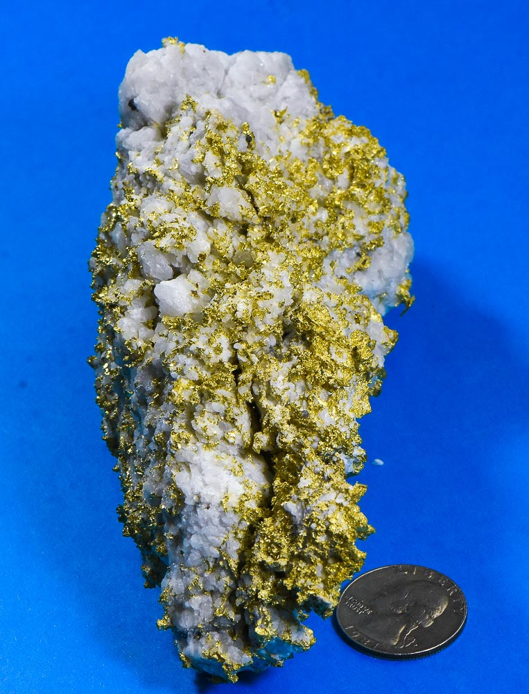 Large Gold Bearing Quartz Specimen Original 16-1 Mine California 1155.92 Grams 37.16 OZ Genuine