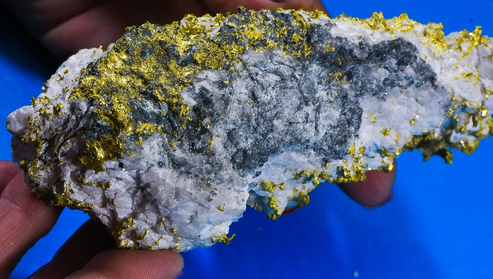 Large Gold Bearing Quartz Specimen Original 16-1 Mine California 1155.92 Grams 37.16 OZ Genuine
