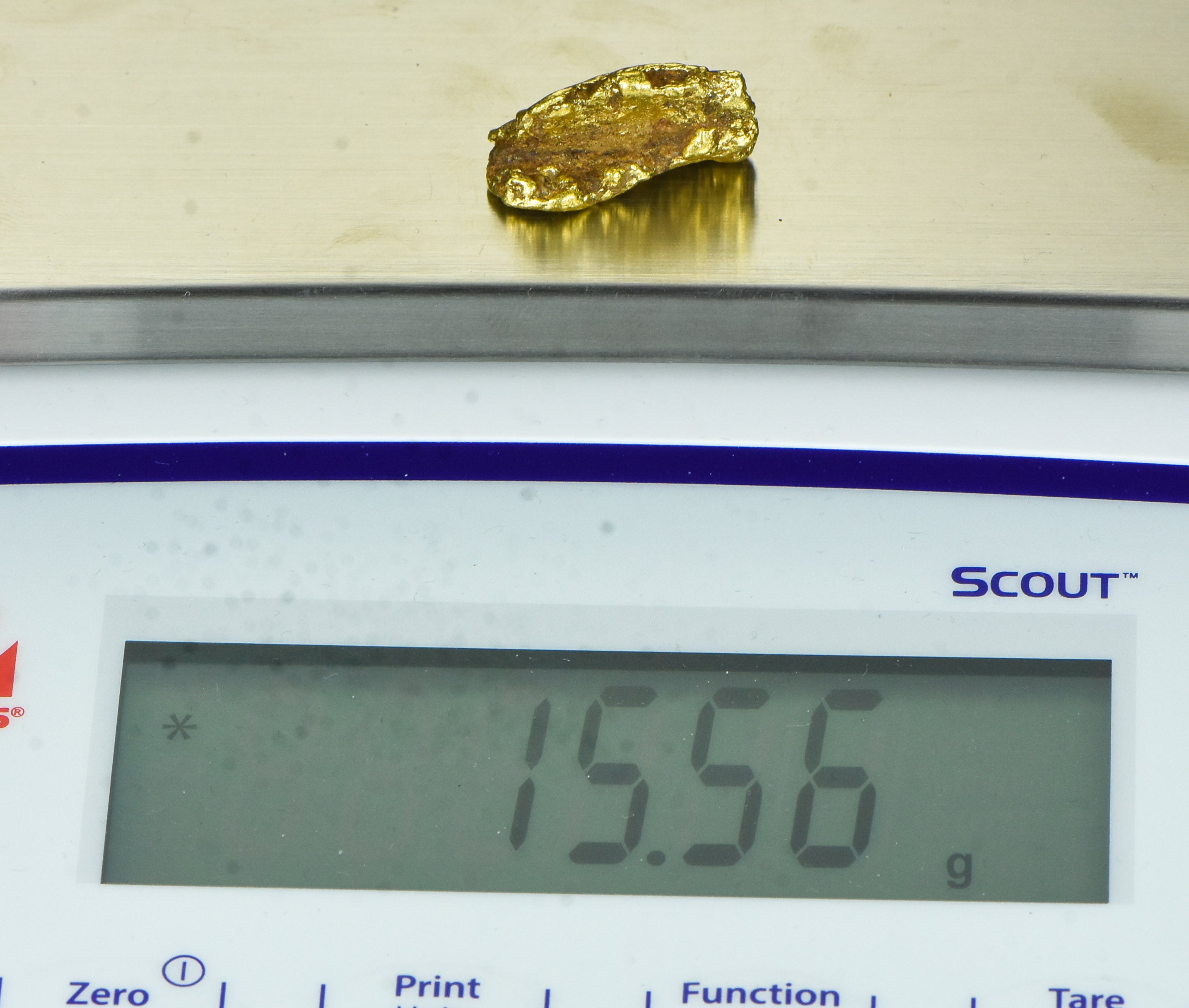 #107 Sonora Mexico Natural Gold Nugget 15.56 Grams Genuine