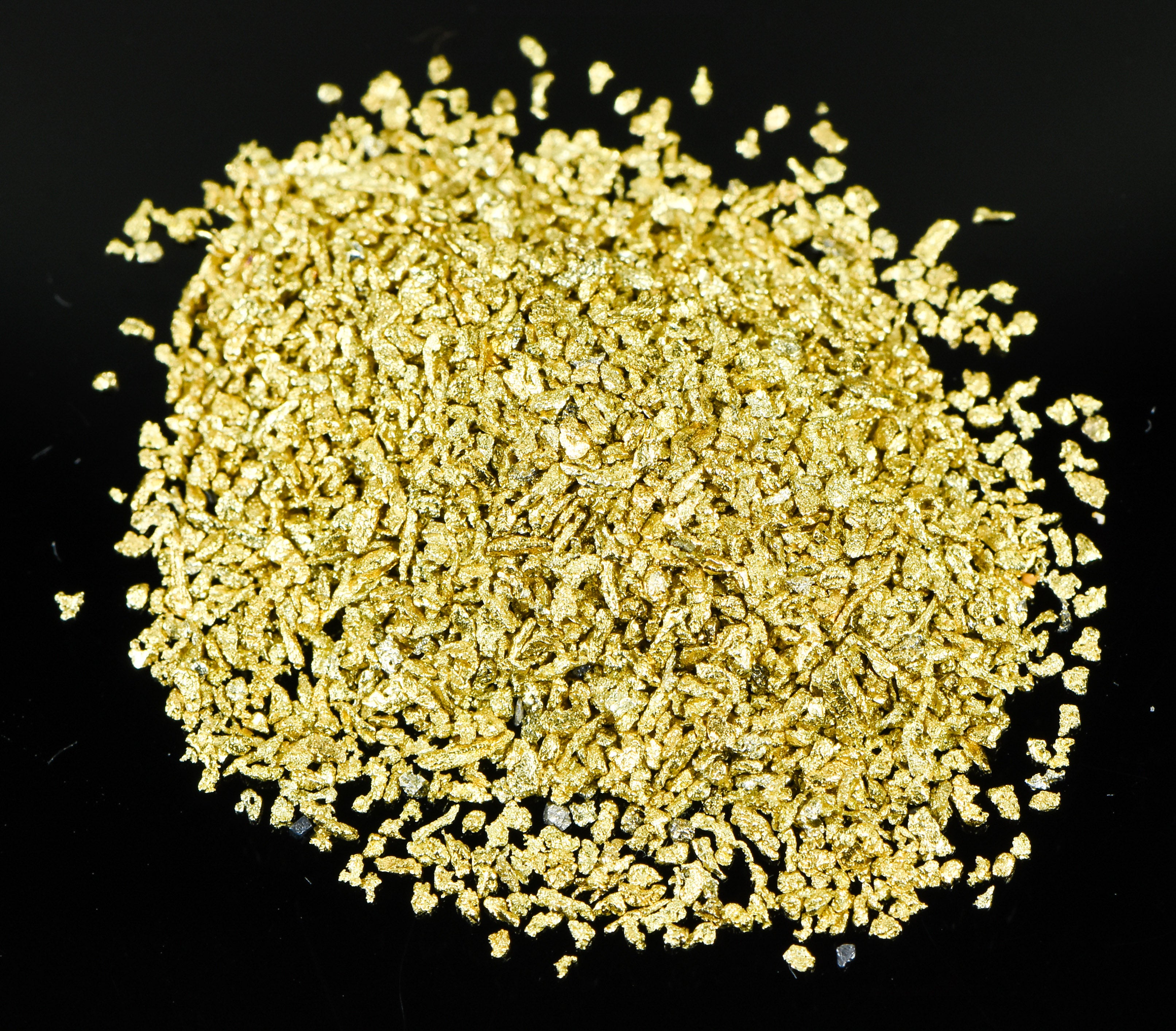 Alaskan Yukon Gold Rush Nuggets #30 Mesh 1/4Troy Oz 7.75 Grams Super Fine Gold
