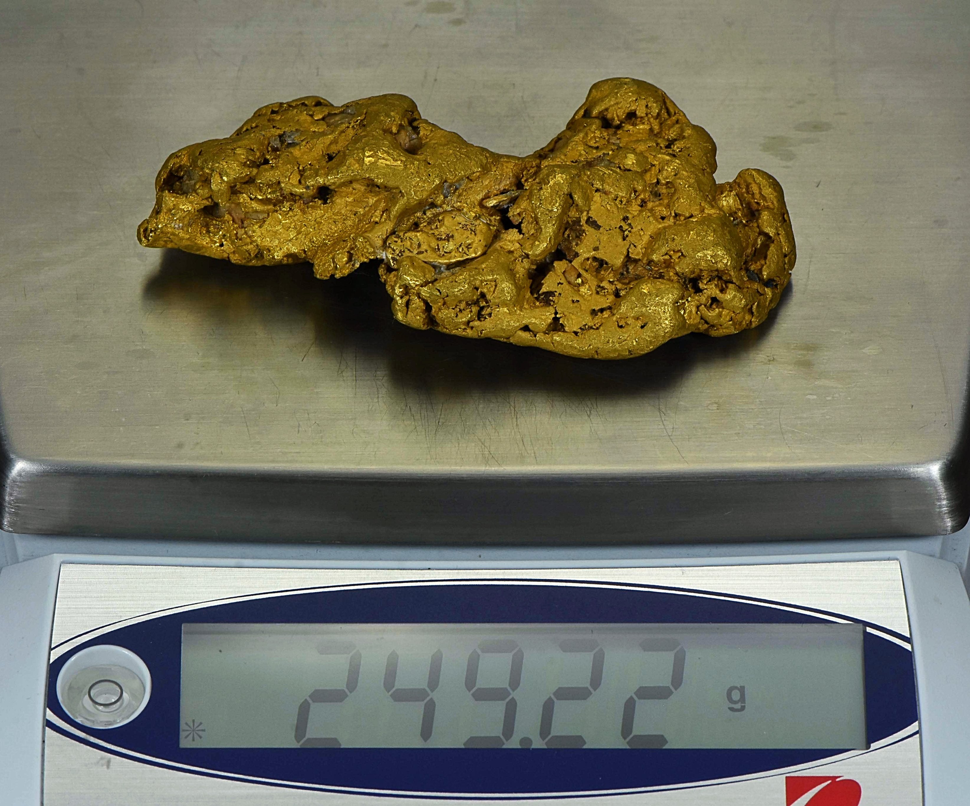 Large Alaskan Natural Gold Nugget 249.22 Grams Genuine 8.01 Troy Ounces 98.46% Pure