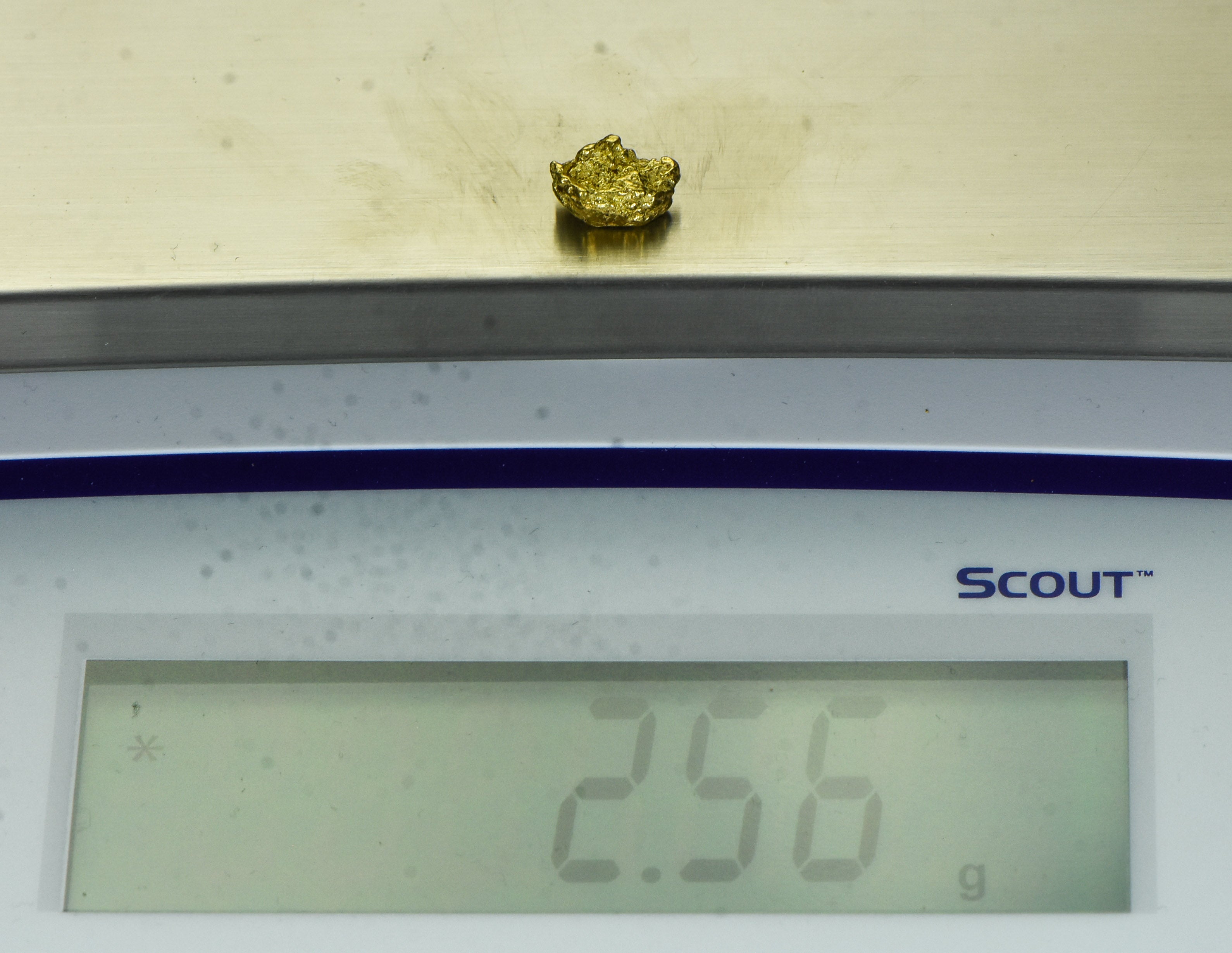 #290 Alaskan BC Natural Gold Nugget 2.56 Grams Genuine