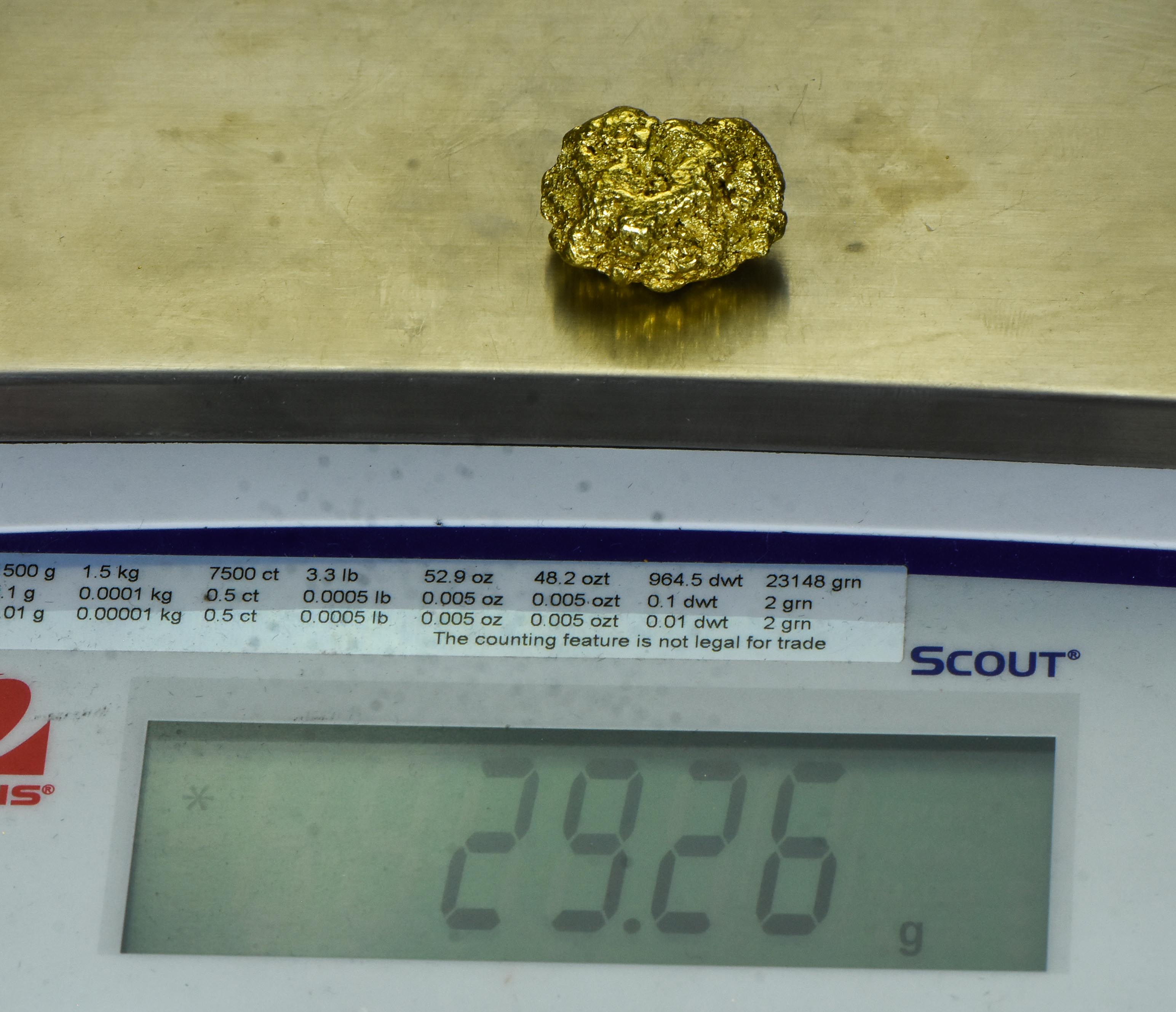 #541 Alaskan BC Natural Gold Nugget 29.26 Grams Genuine