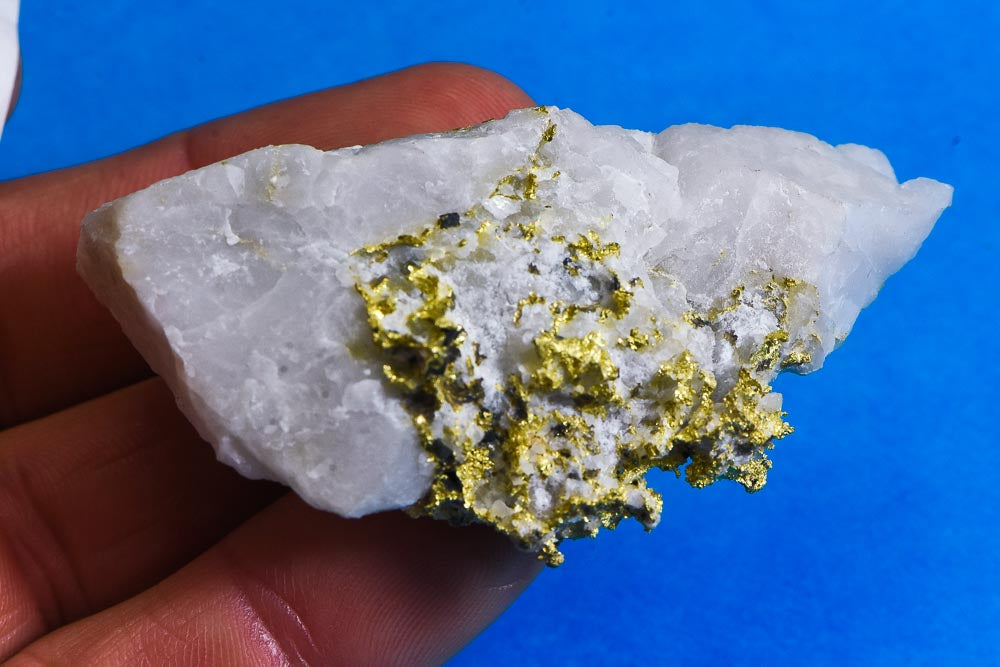 Large Gold Bearing Quartz Specimen Sierra Mining District California 58.60 Grams Genuine