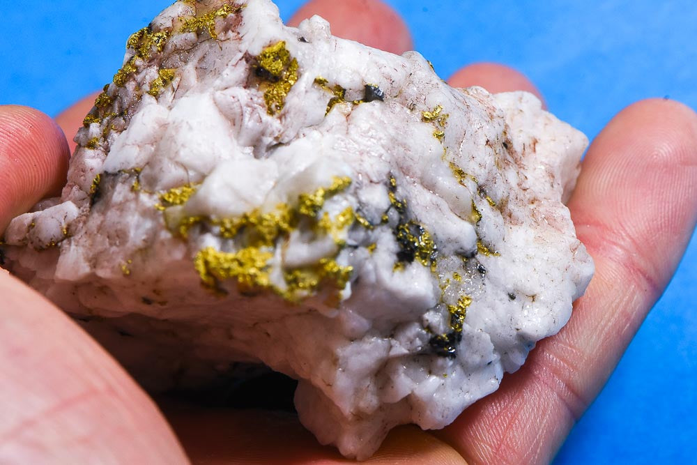 Large Gold Bearing Quartz Specimen Sierra Mining District California 210.04 Grams Genuine