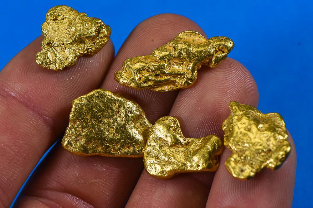 Alaskan BC Natural Gold Nugget 1 Troy Oz. Lot of 5-10 gram Nuggets Genuine B&C Grade