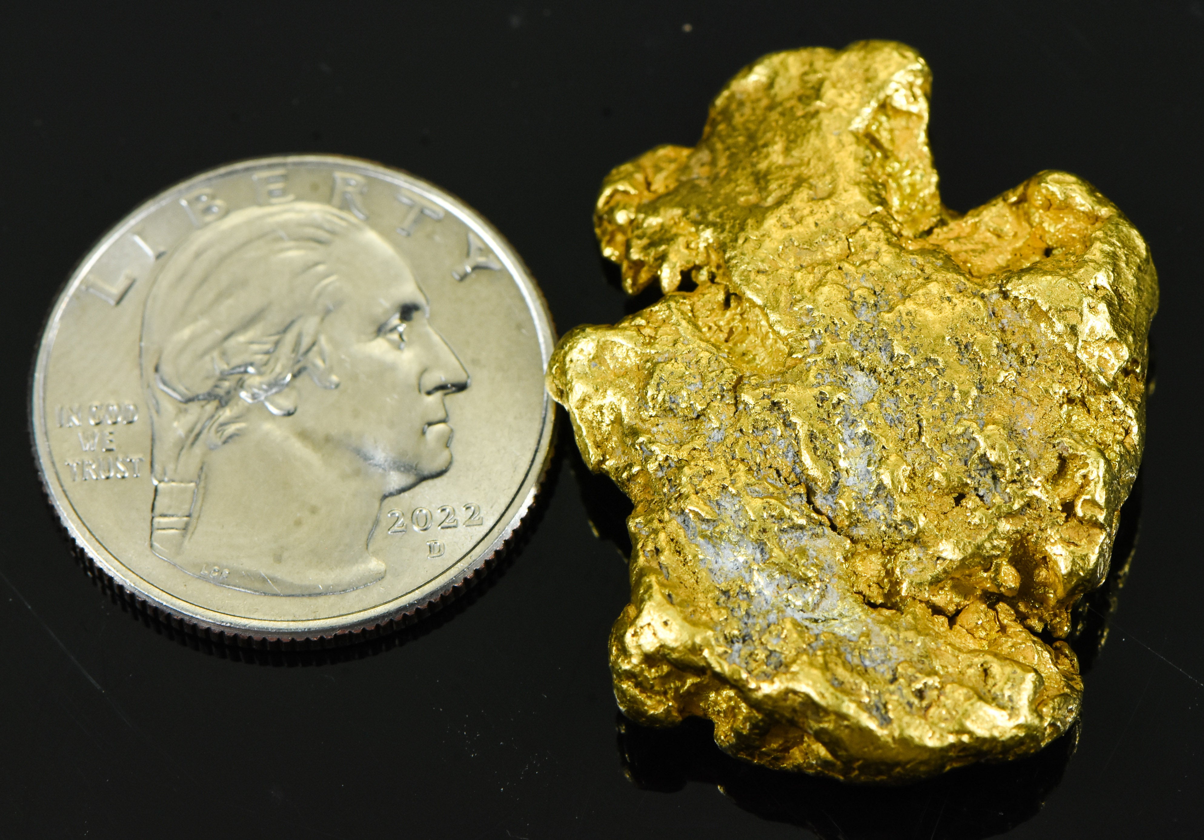#541 Large Alaskan BC Gold Nugget 37.64 Grams Genuine