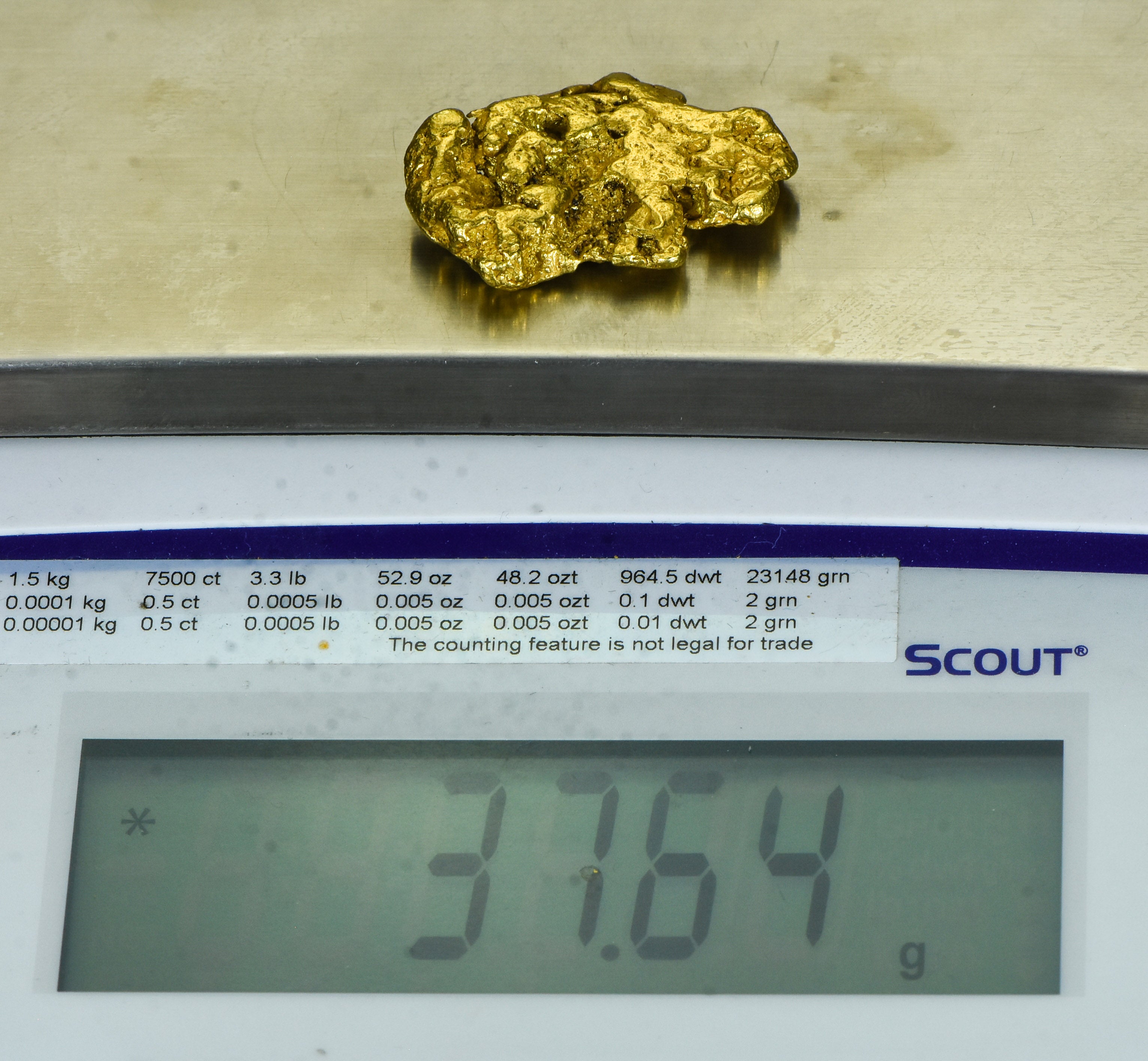 #541 Large Alaskan BC Gold Nugget 37.64 Grams Genuine