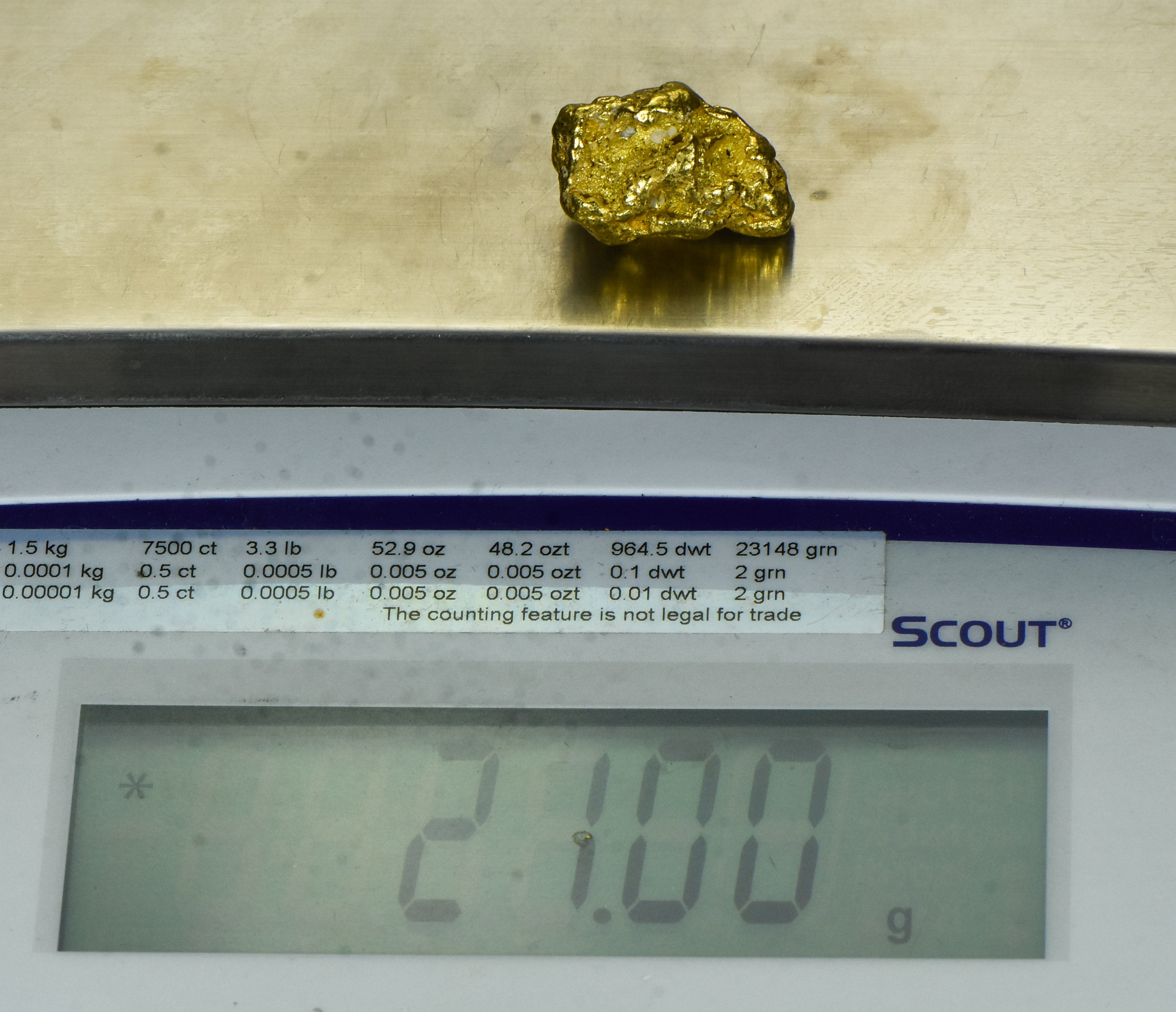 #542 Large Alaskan BC Gold Nugget 21.00 Grams Genuine