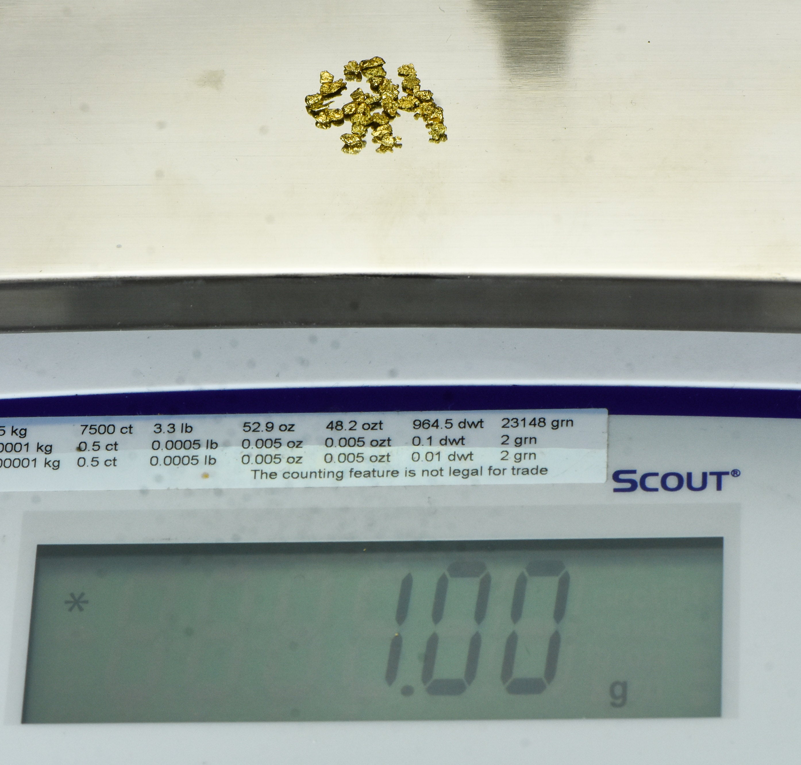 Alaskan Yukon Gold Rush Nuggets 12 Mesh 1 Gram of Fines