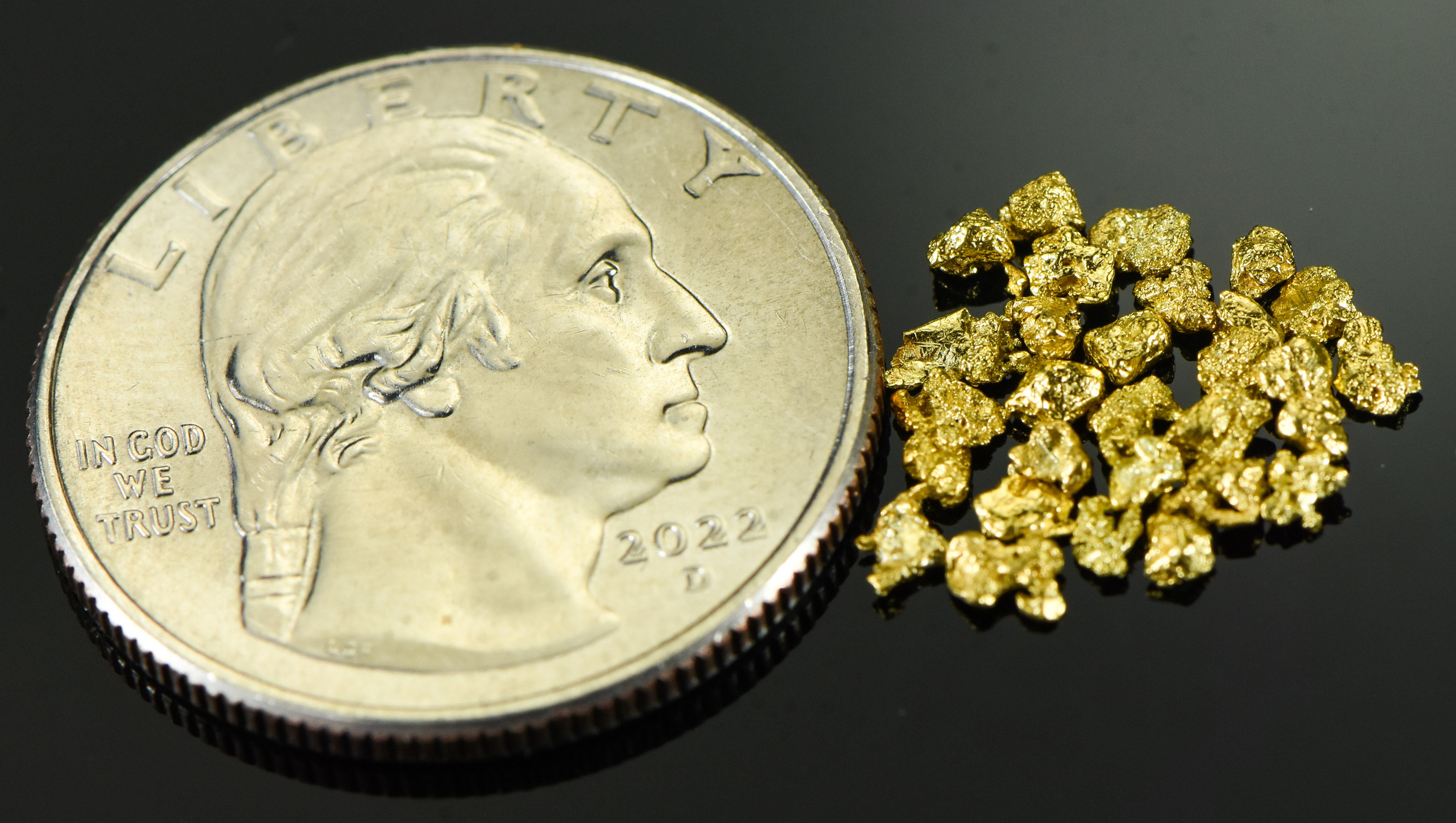 Alaskan Yukon Gold Rush Nuggets 12 Mesh 1 Gram of Fines