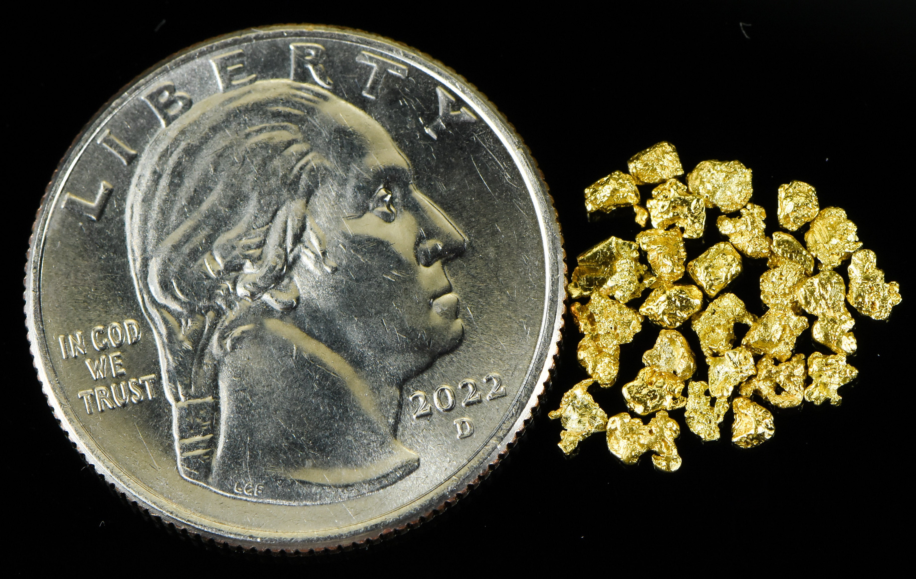 Alaskan Yukon Gold Rush Nuggets 12 Mesh 1 Gram of Fines