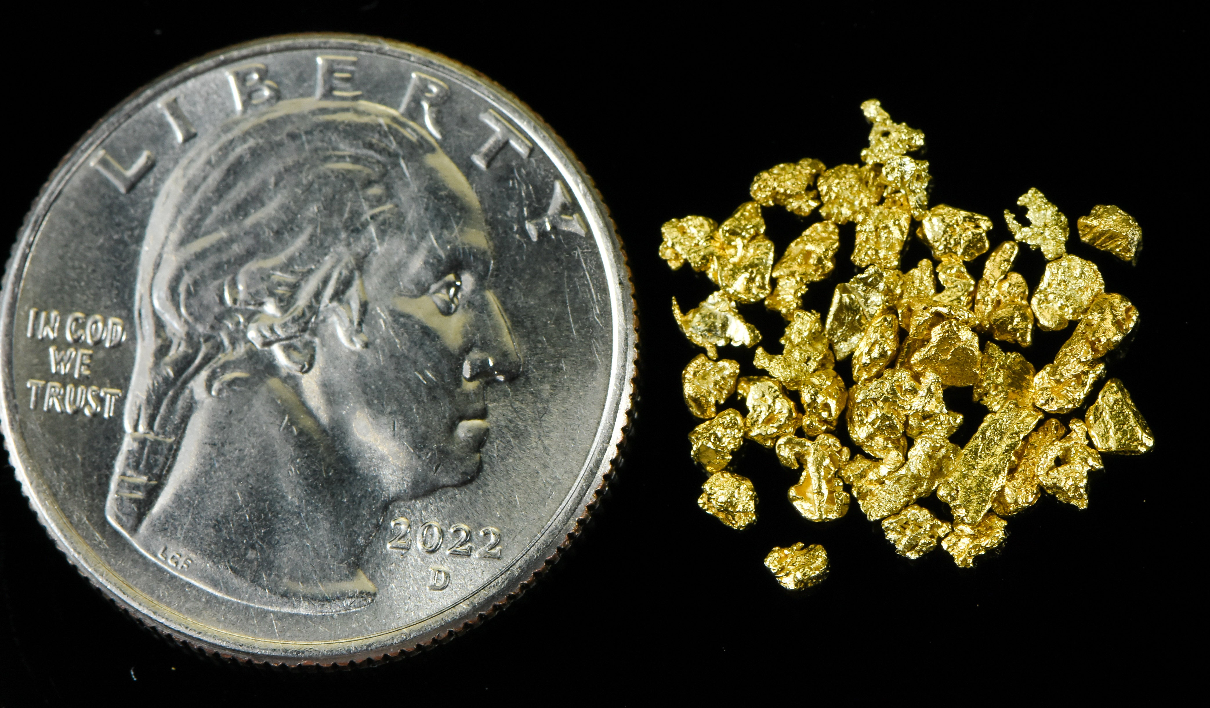 Alaskan Yukon Gold Rush Nuggets 12 Mesh .05 Troy Oz. 1.55 Grams or 1 DWT