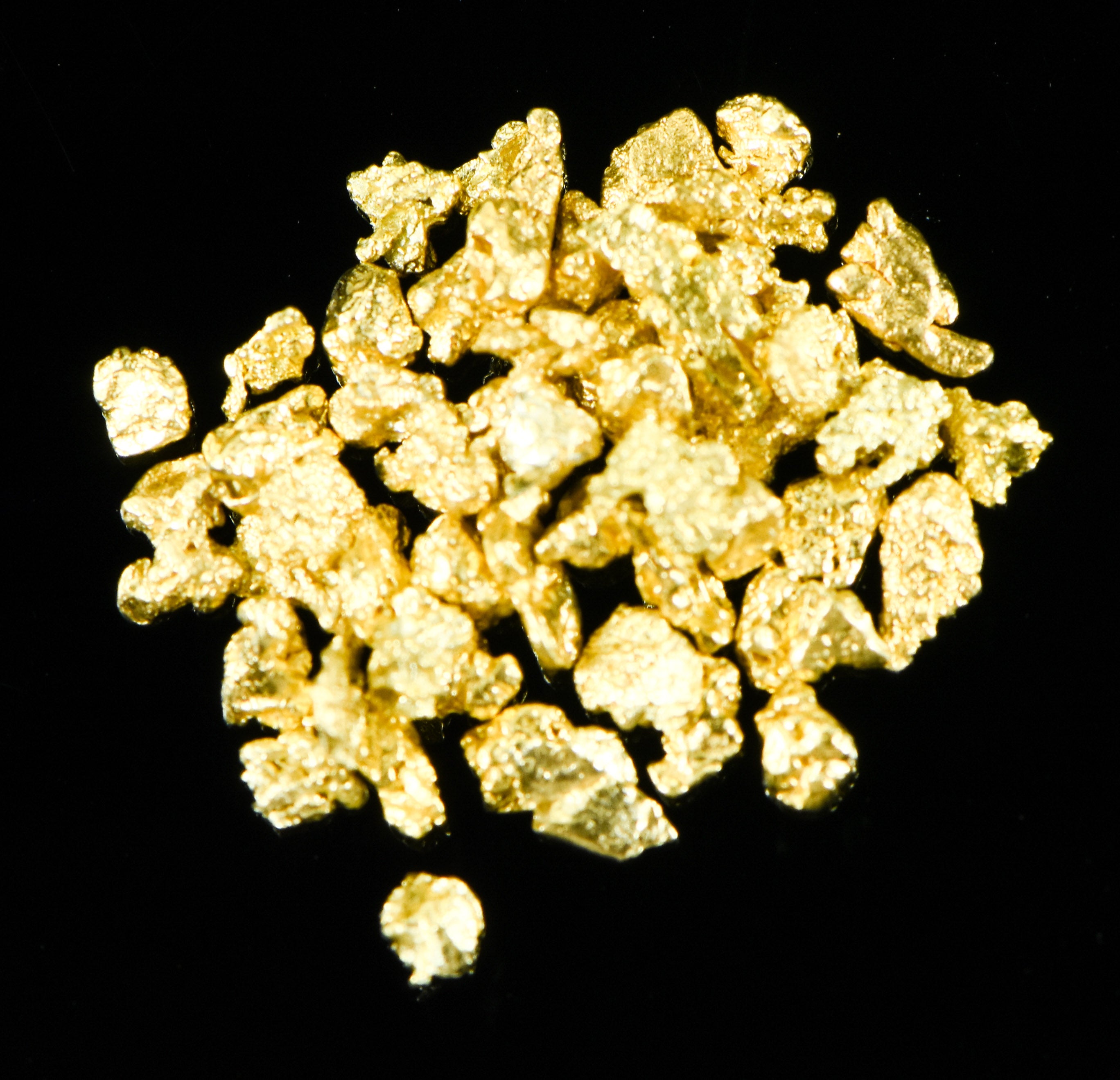 Alaskan Yukon Gold Rush Nuggets 12 Mesh 2 Grams