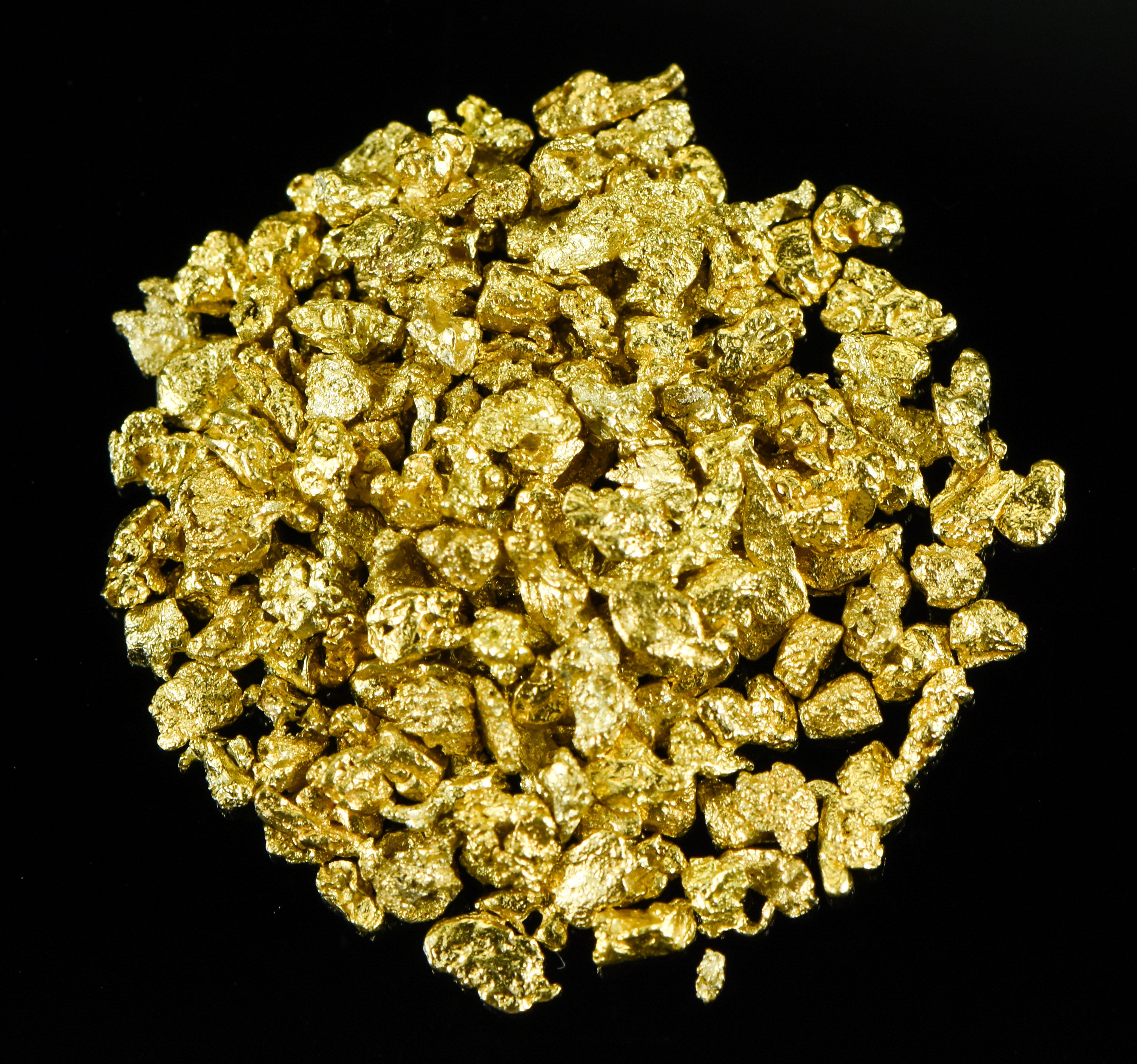 Alaskan Yukon BC Gold Nuggets 12 Mesh 1/4 Troy Oz 7.75 Grams or 5 DWT