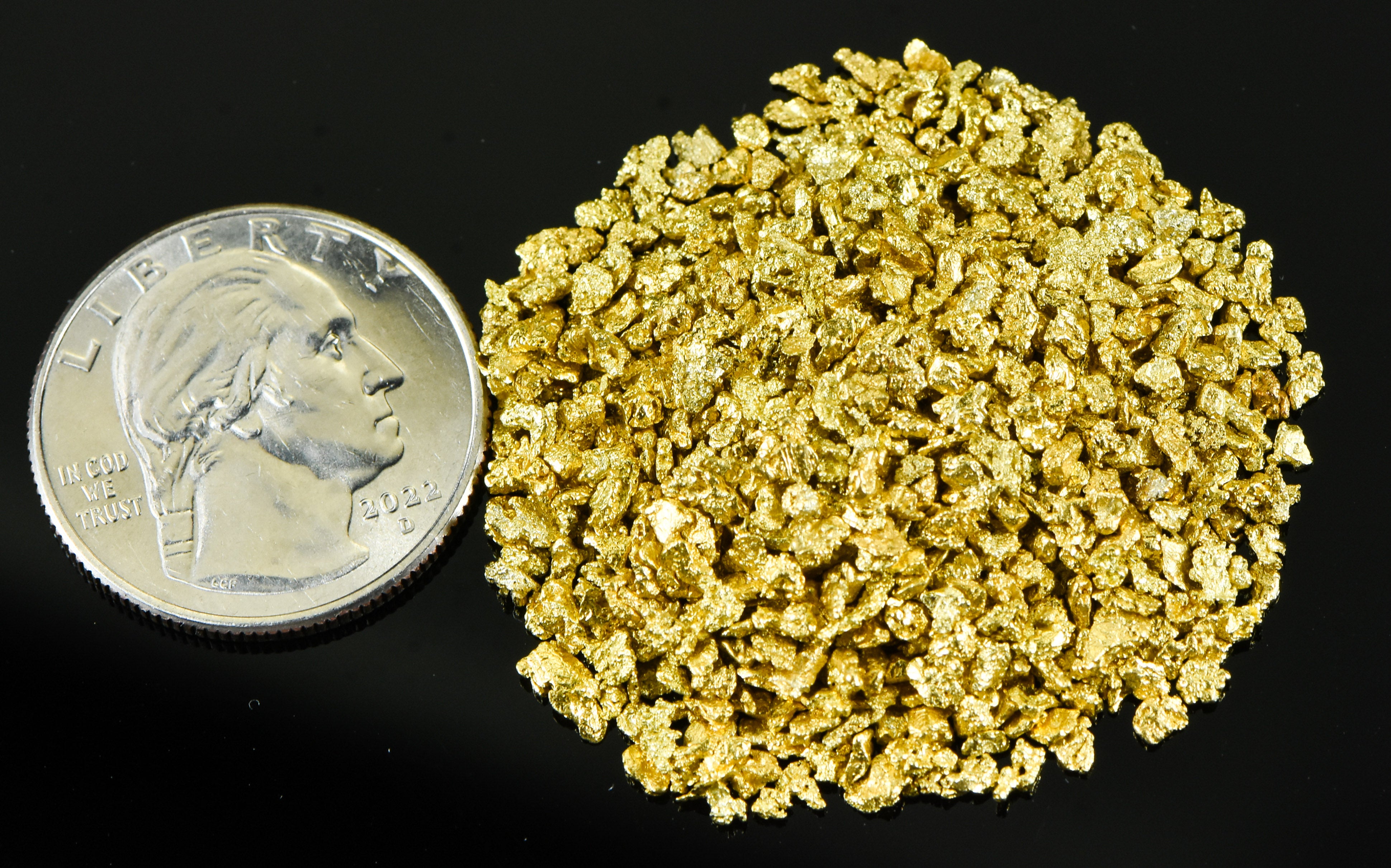 Alaskan Yukon Gold Rush Nuggets 12 Mesh 1 Troy Ounce 31.1 Gram 20 DWT