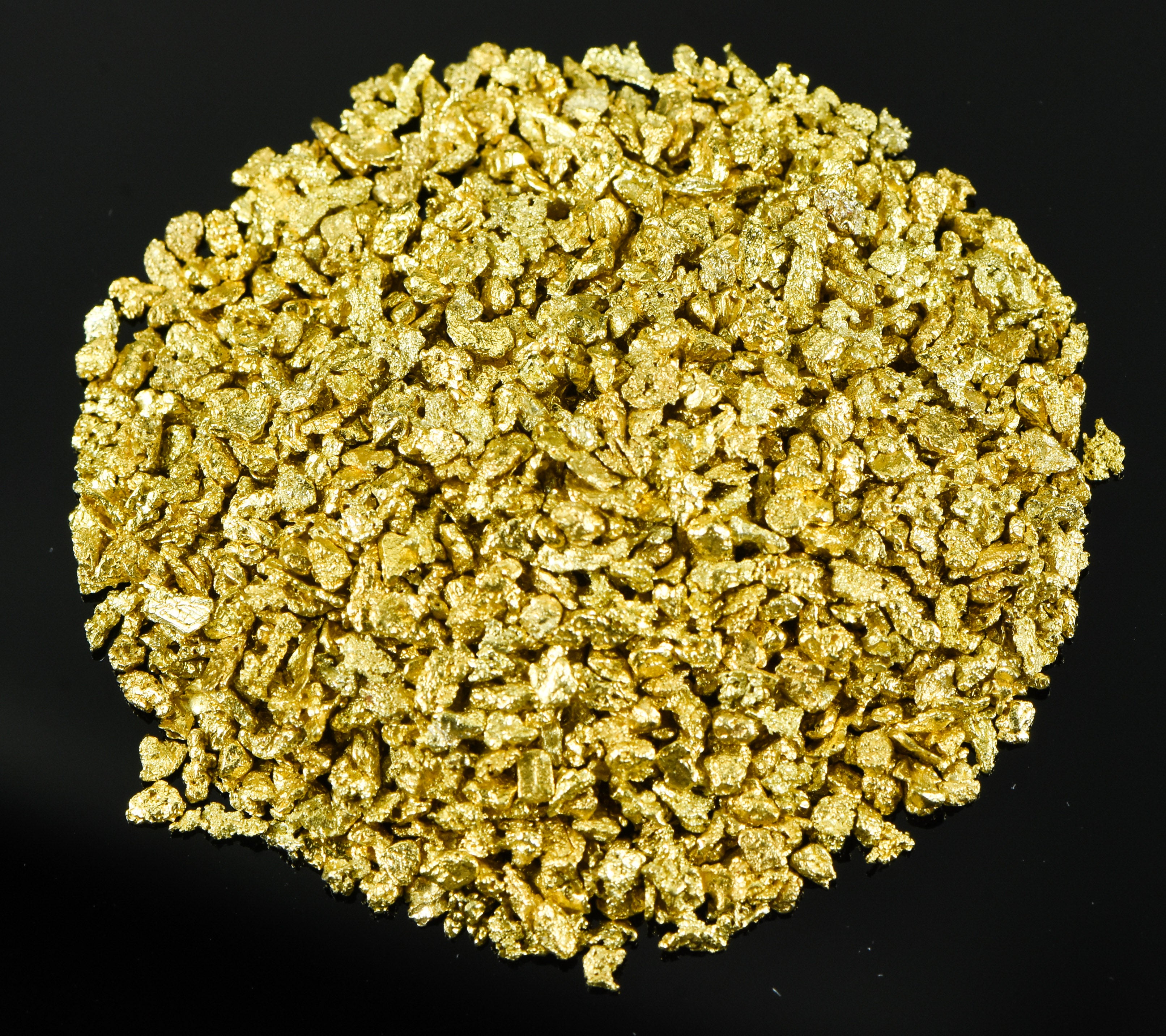 Alaskan Yukon Gold Rush Nuggets 12 Mesh 2 Troy Ounce 62.2 Gram 40 DWT