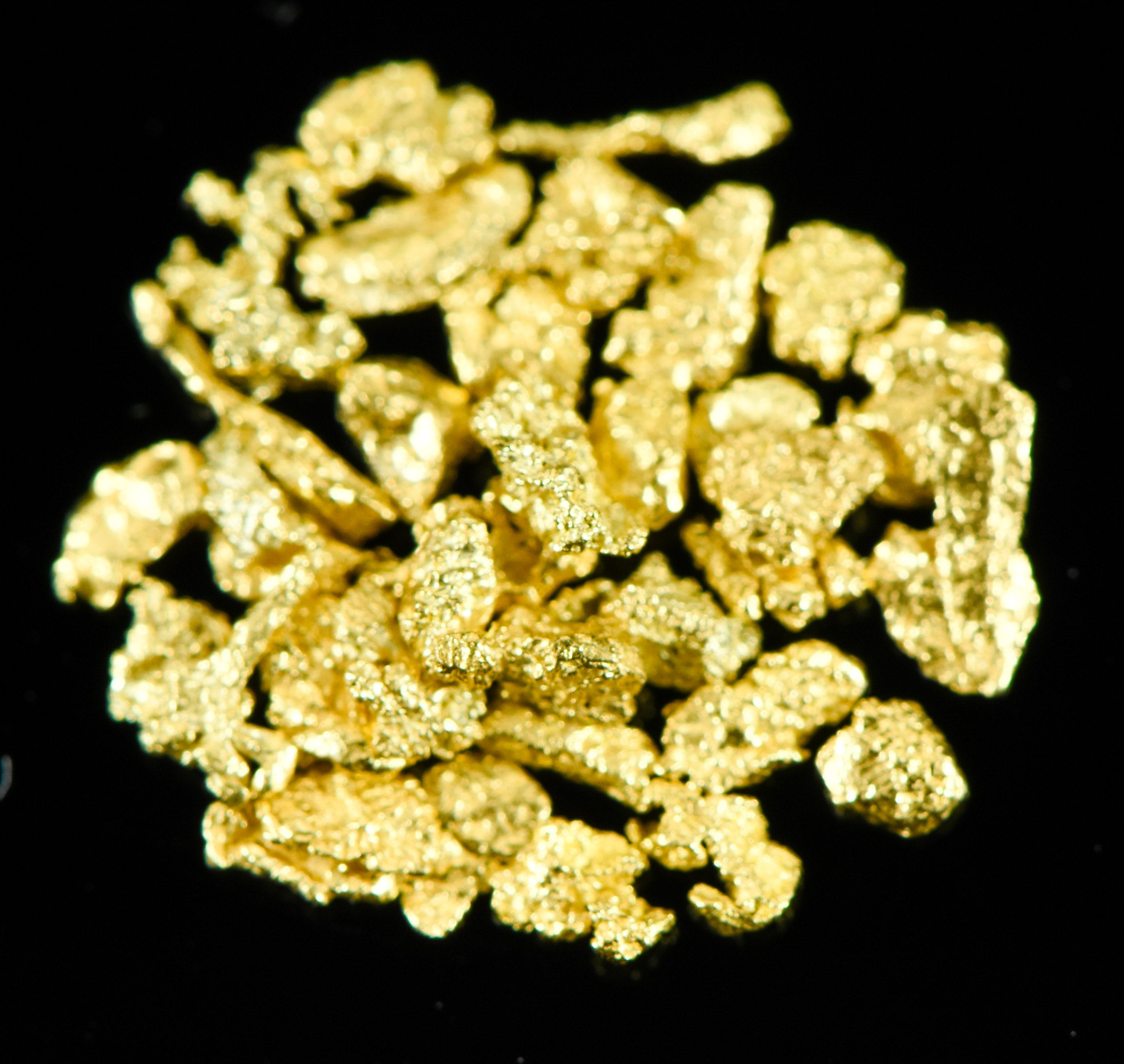 Alaskan Yukon Gold Rush Nuggets 14 Mesh .025 Troy Oz .78 Grams or 1/2 DWT