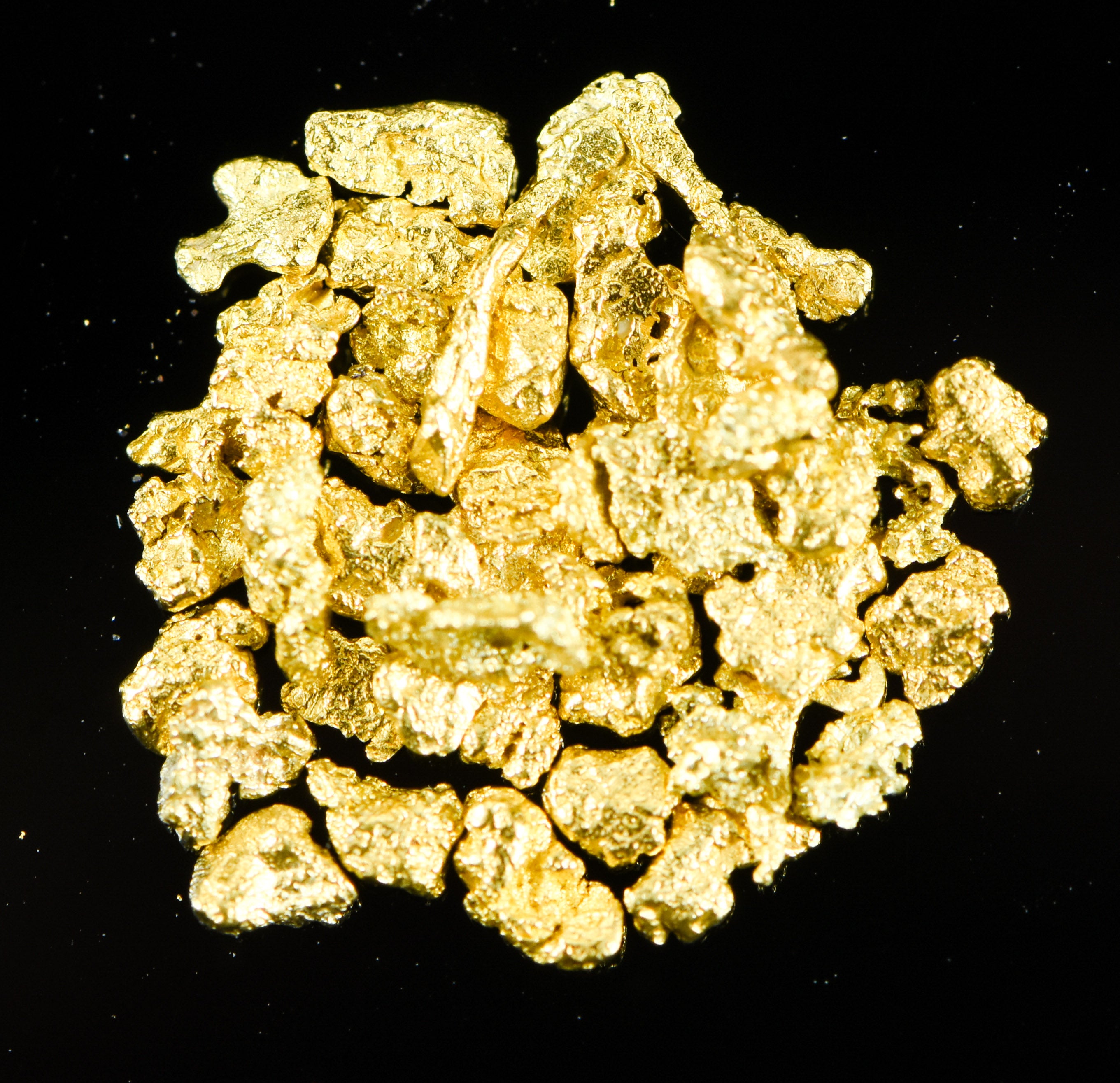 Alaskan Yukon Gold Rush Nuggets 14 Mesh 1 Gram of Fines