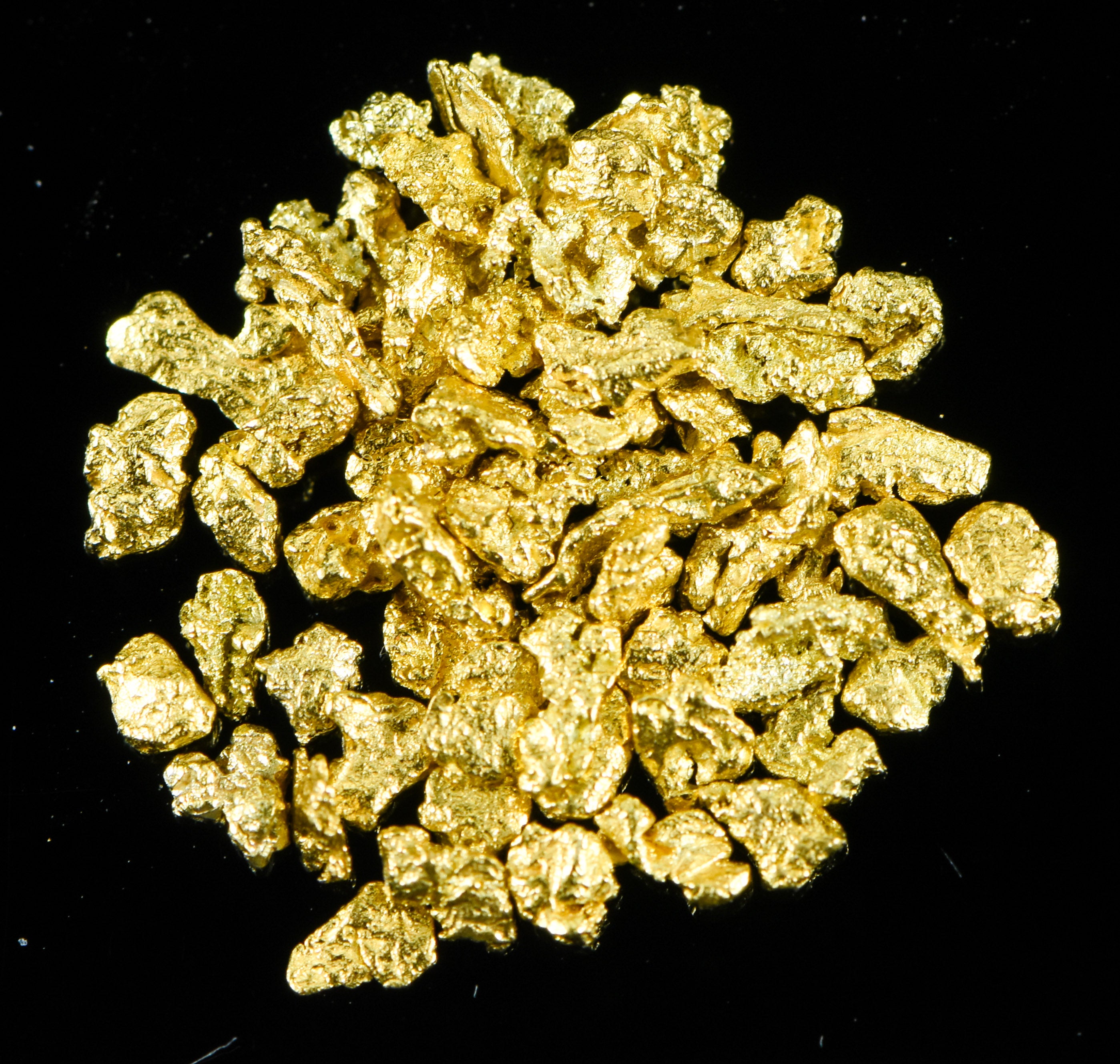 Alaskan Yukon Gold Rush Nuggets 14 Mesh .05 Troy Oz. 1.55 Grams or 1 DWT