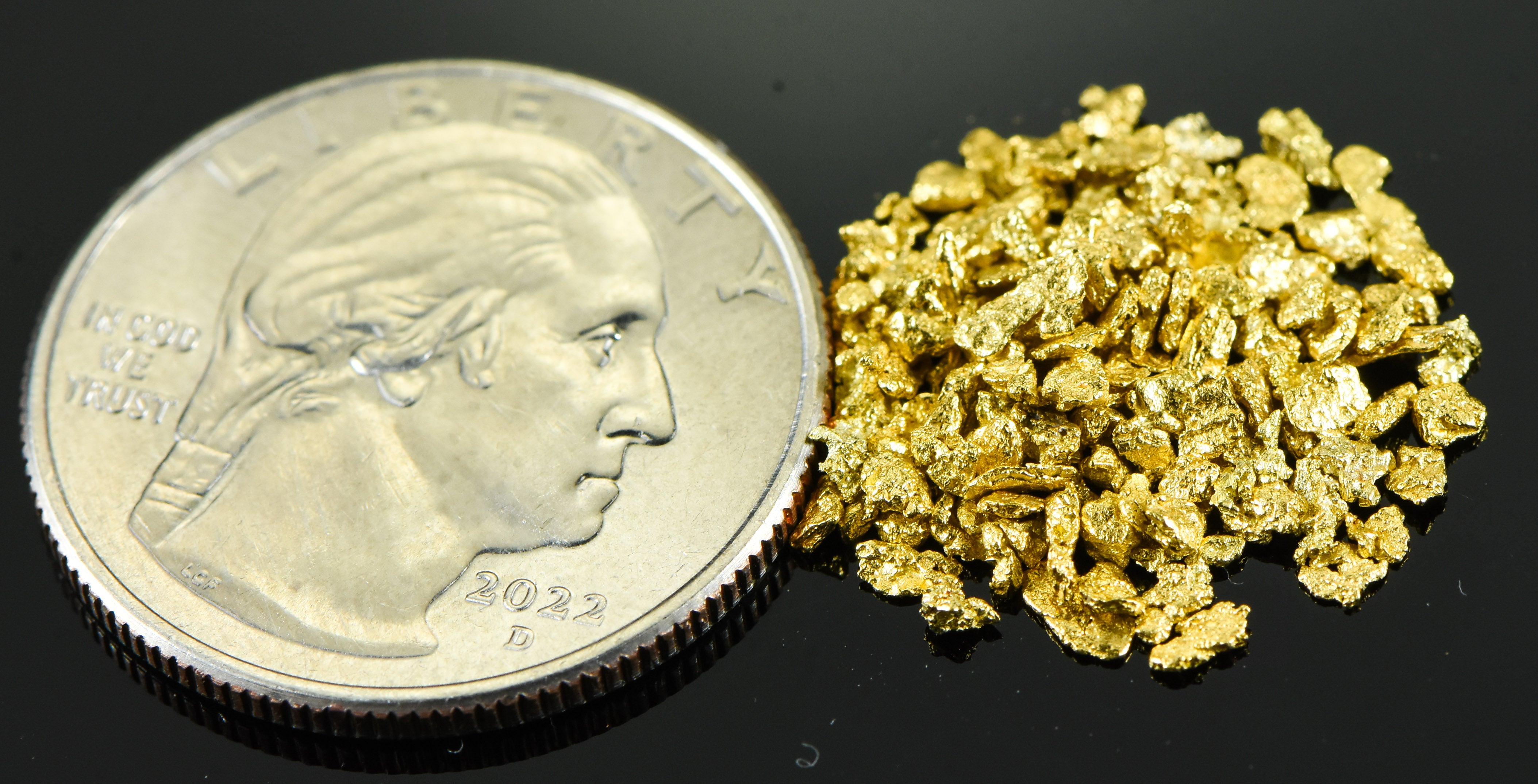 Alaskan Yukon Gold Rush Nuggets 14 Mesh 1/10 Troy Oz 3.1 Grams or 2 DWT