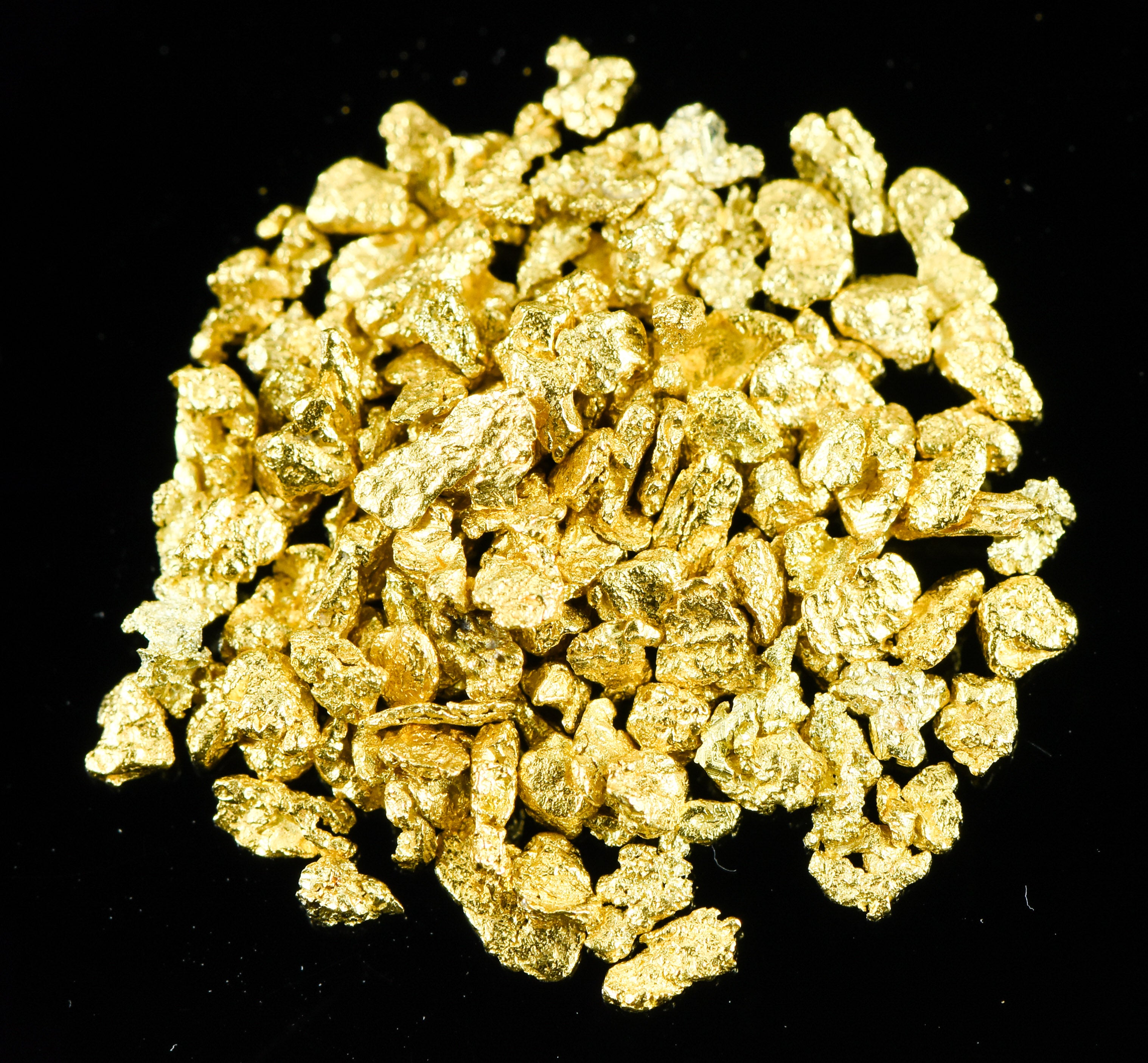 Alaskan Yukon Gold Rush Nuggets 14 Mesh 1/10 Troy Oz 3.1 Grams or 2 DWT