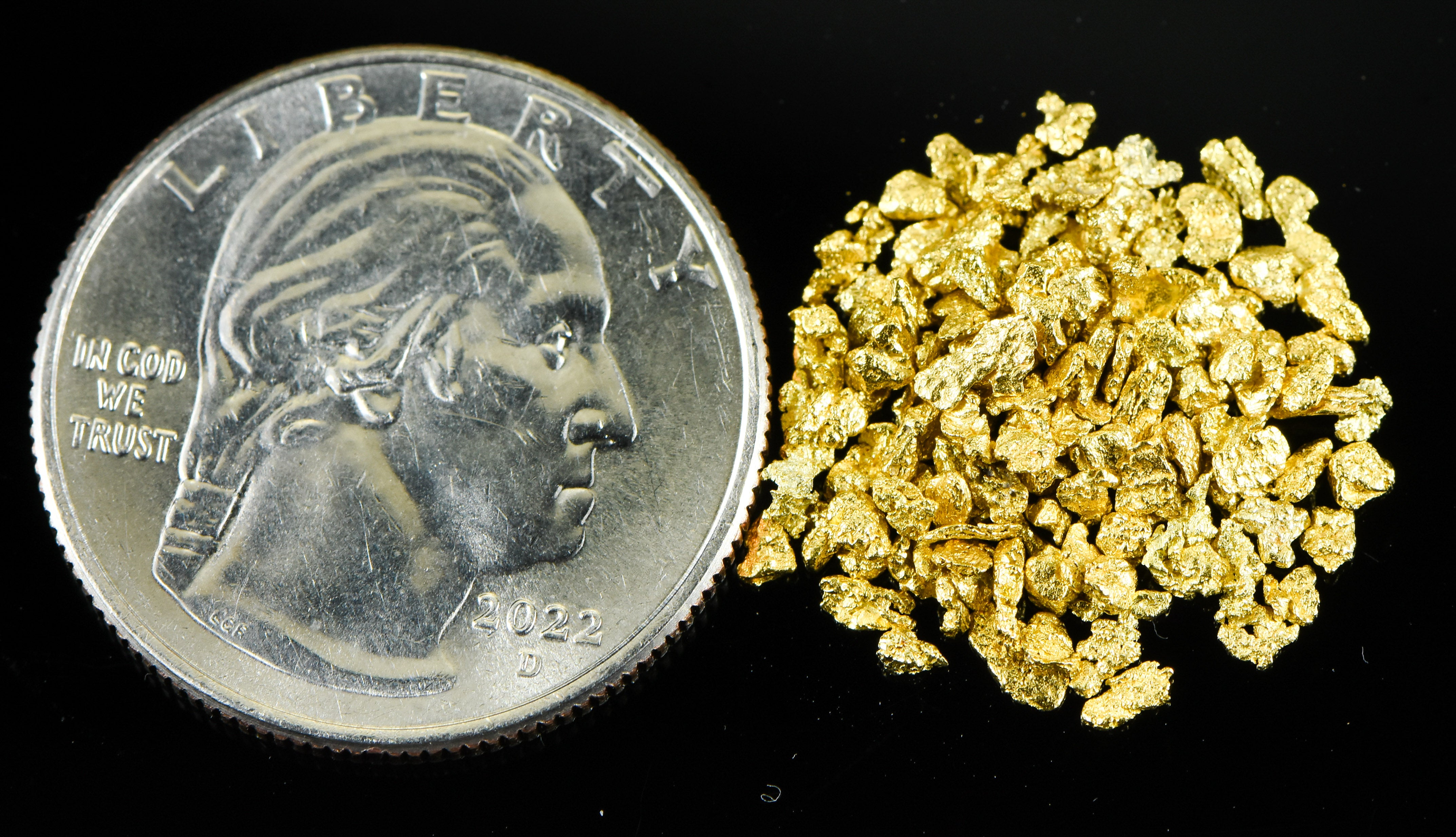 Alaskan Yukon Gold Rush Nuggets 14 Mesh 1/10 Troy Oz 3.1 Grams or 2 DWT