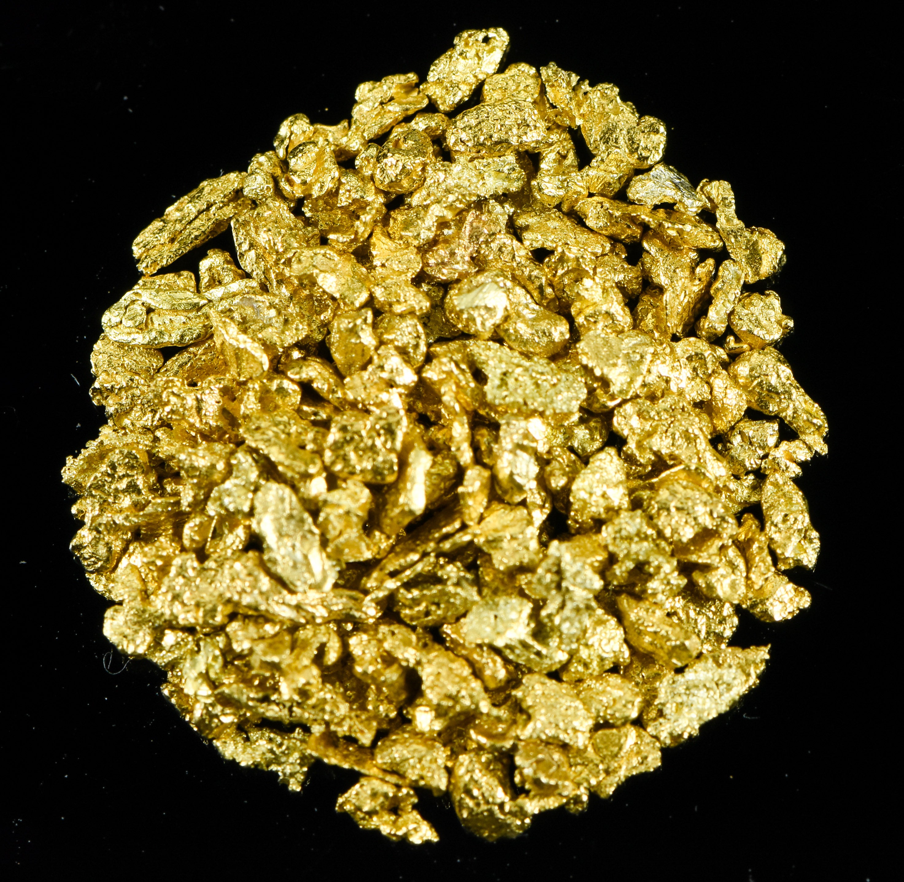 Alaskan Yukon Gold Rush Nuggets 14 Mesh 5 Gram of Fines