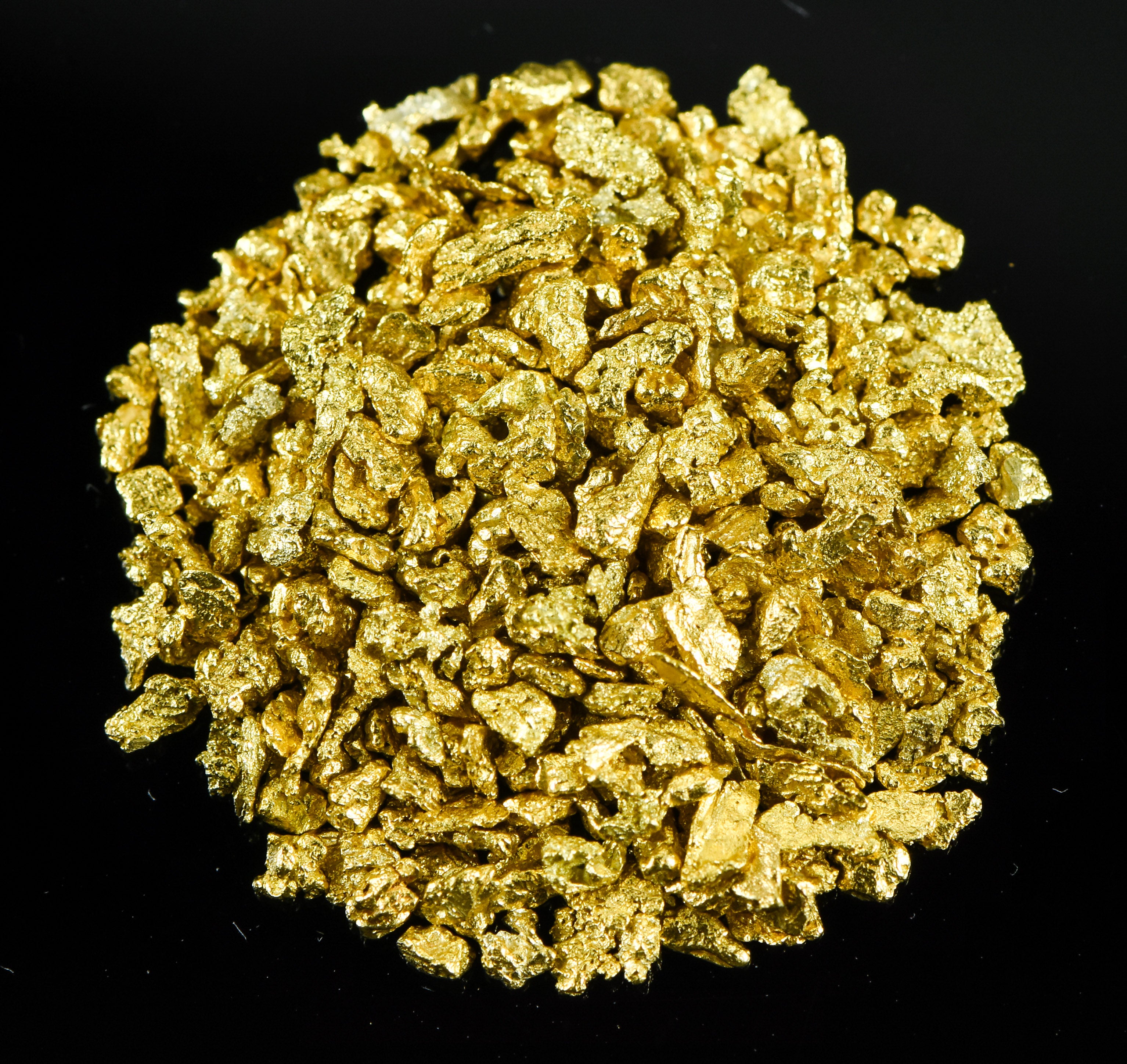 Alaskan Yukon Gold Rush Nuggets 14 Mesh 1/4 Troy Oz 7.75 Grams or 5 DWT