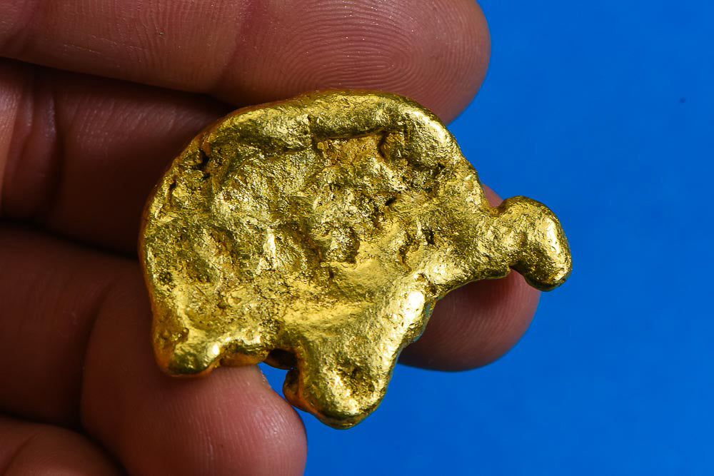 Large Alaskan BC Natural Gold Nugget "The Turtle" 50.31 Grams Genuine 1.61 Troy Ounces