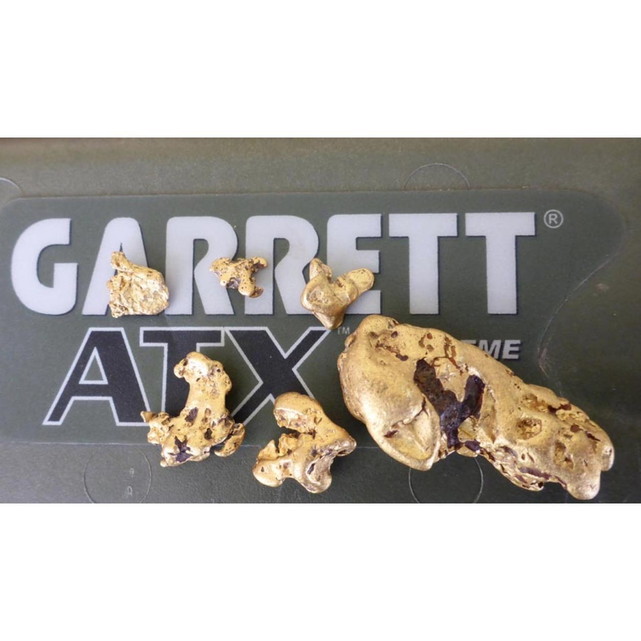 Garrett ATX Metal Detector Basic Package-Destination Gold Detectors