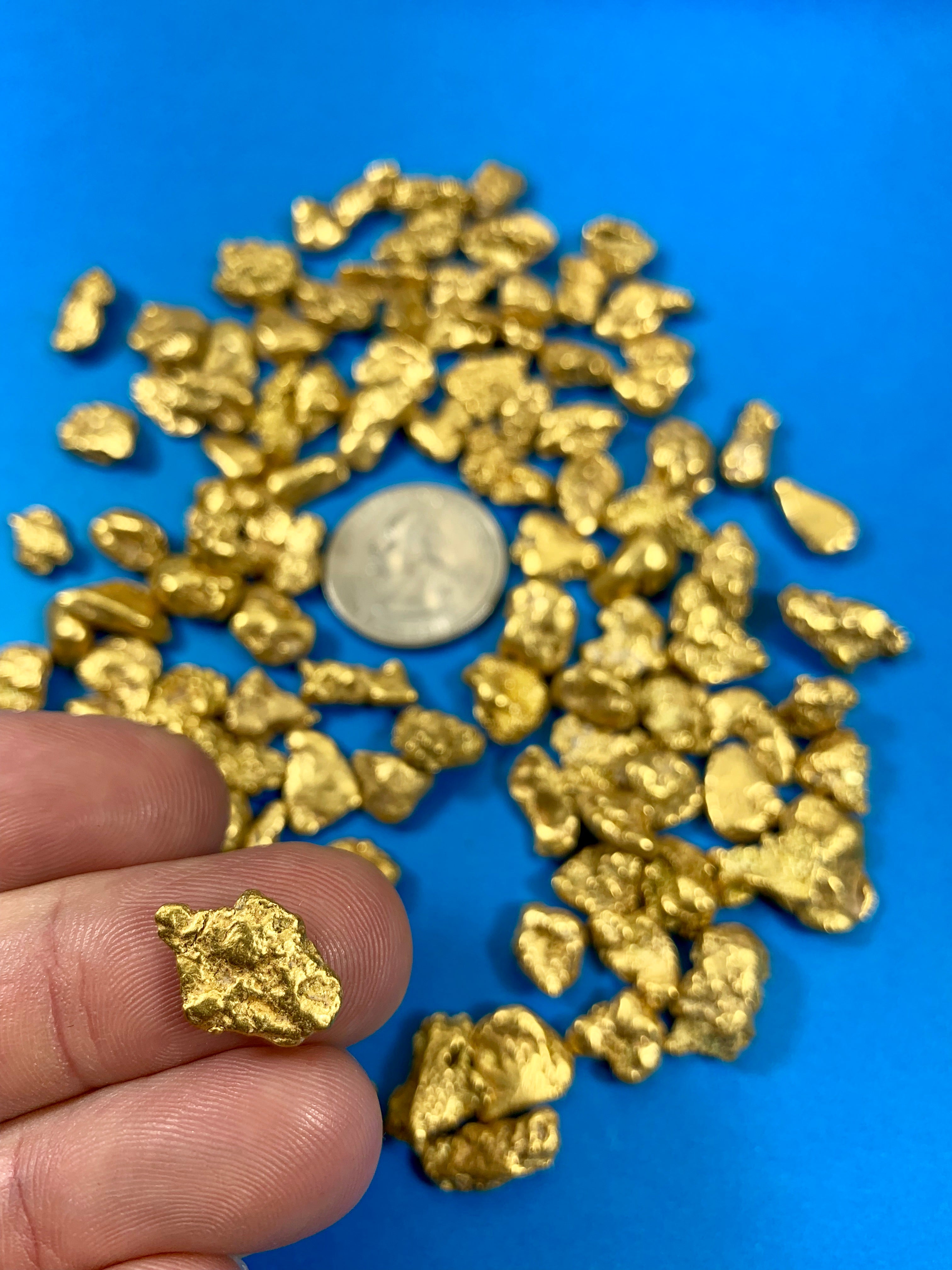 Alaskan BC Natural Gold Nugget 311.00 Gram lot of 2 to 5 gram Nuggets Genuine 10 Troy Oz B&C