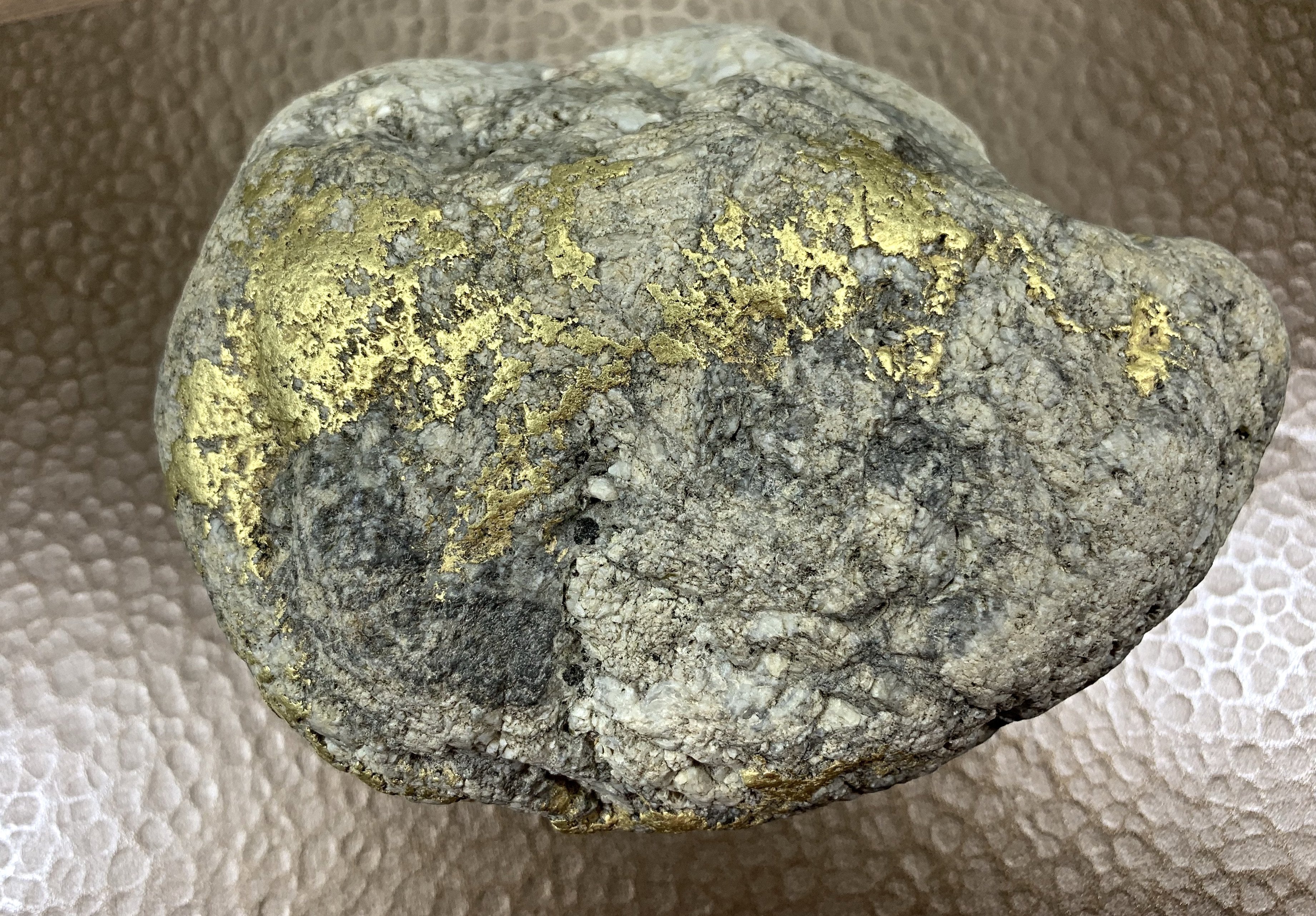 Large Gold Bearing Quartz Specimen Seirra Mining District California 1 818.5 Grams 58.465 Oz Genuine